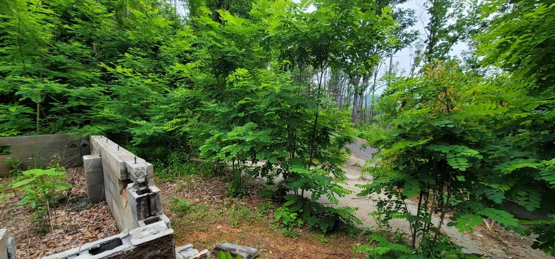 Photo of 3244 Emerald Springs Loop