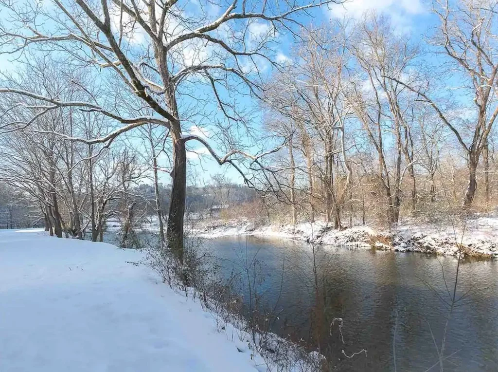 Photo of 542 Tanasi Trail