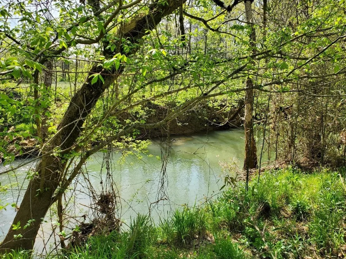 Photo of 1440 Chickadee Circle