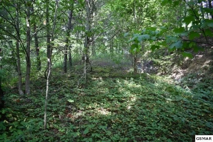 Photo of 3036 Redtail Road