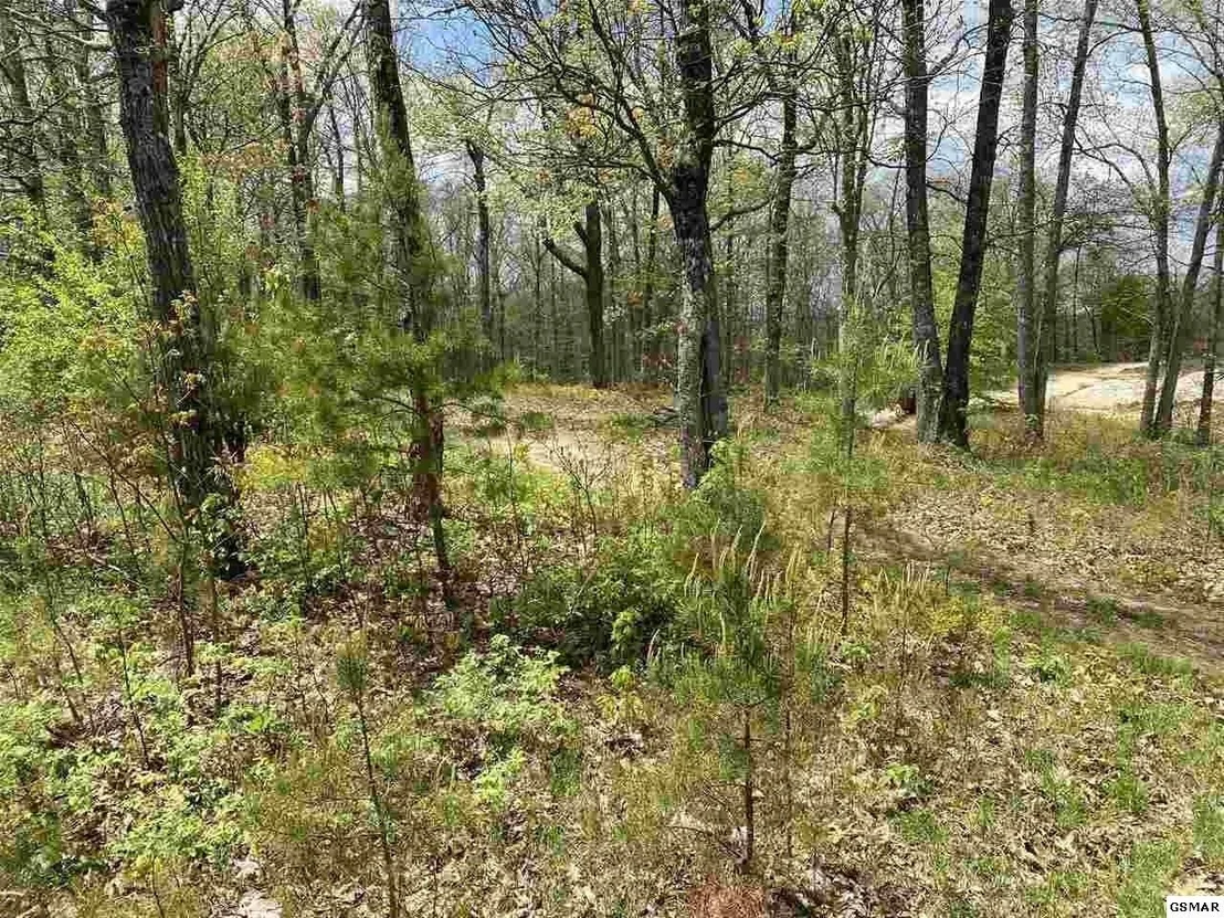 Photo of 38 McClouds Trail