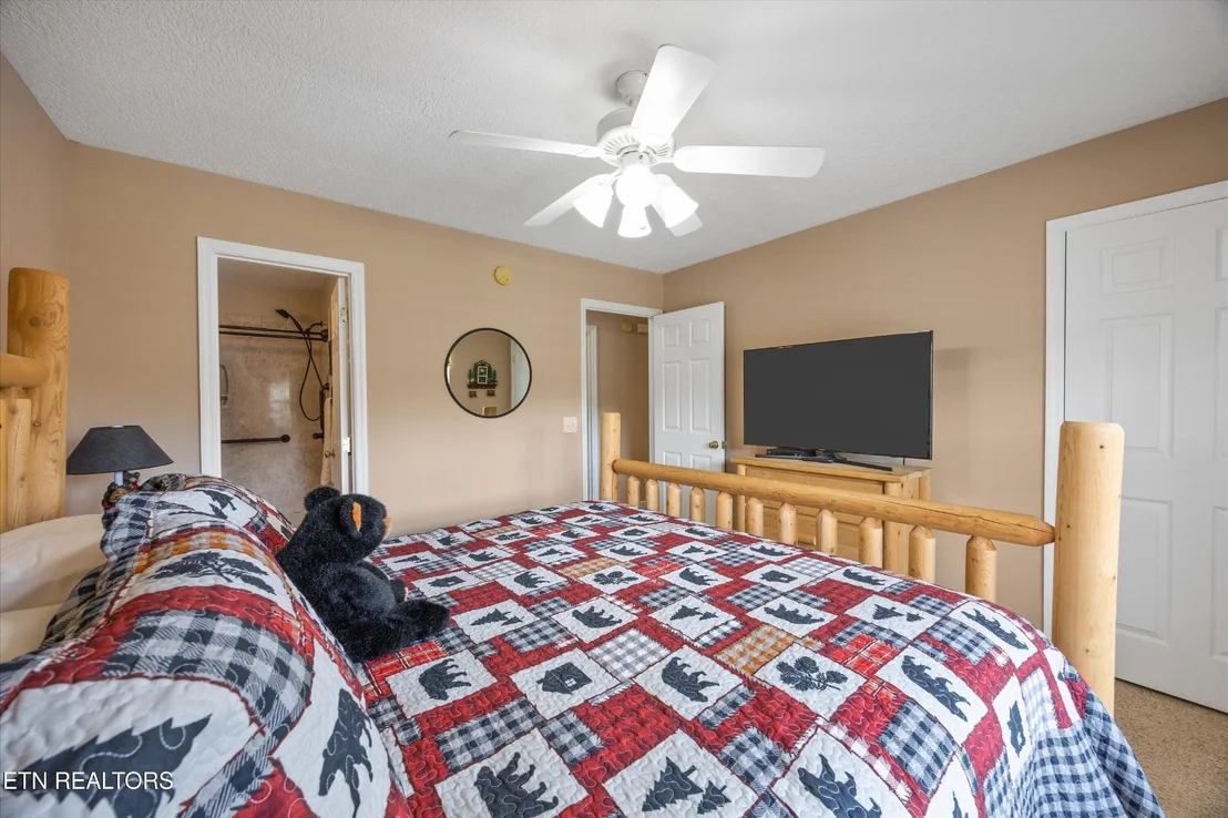 Photo of 566 Tanasi Tr