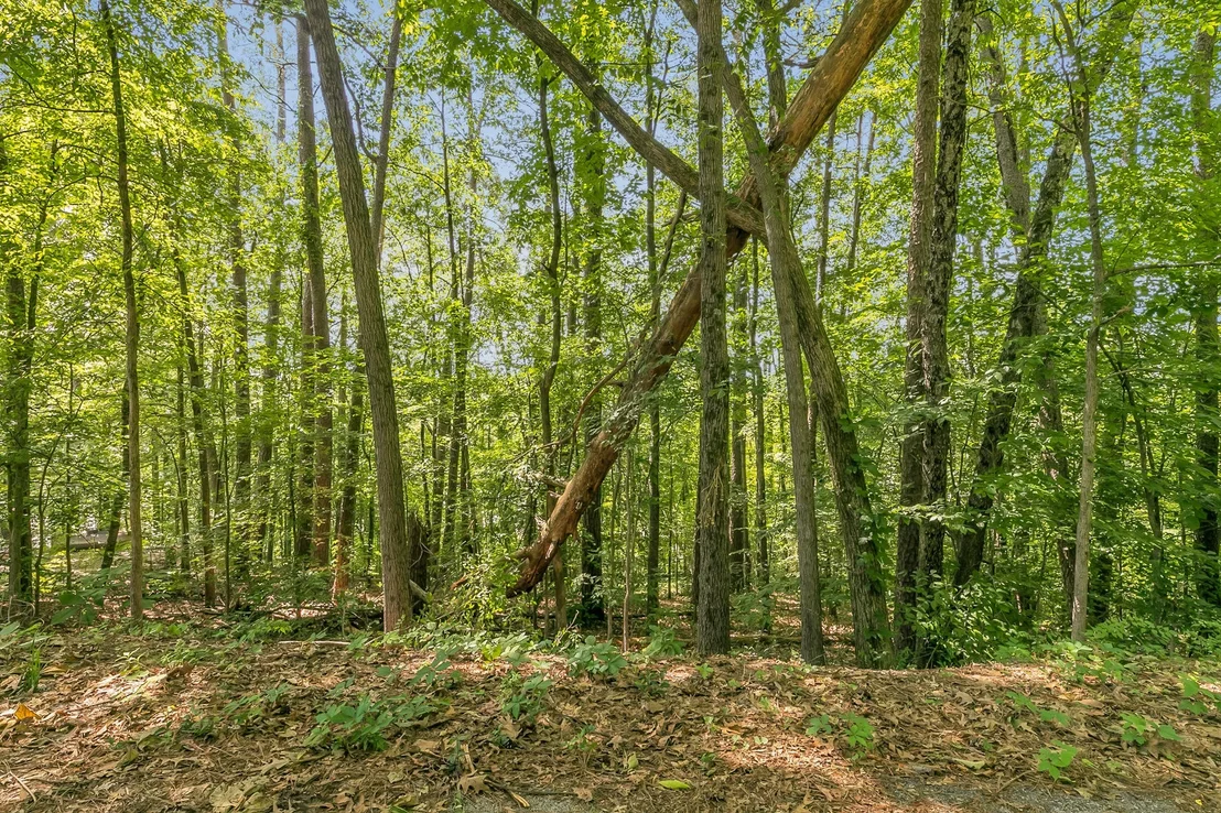 Photo of 567 Benson Drive