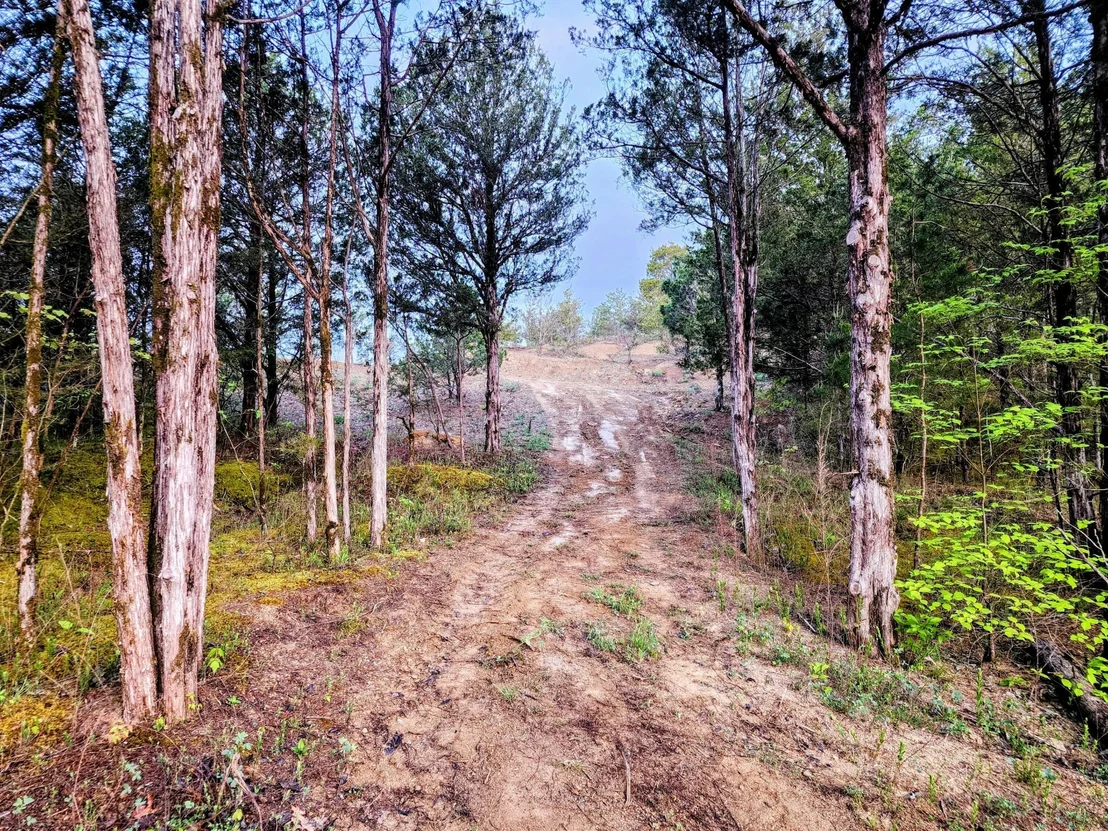 Photo of 702 Driftwood Circle