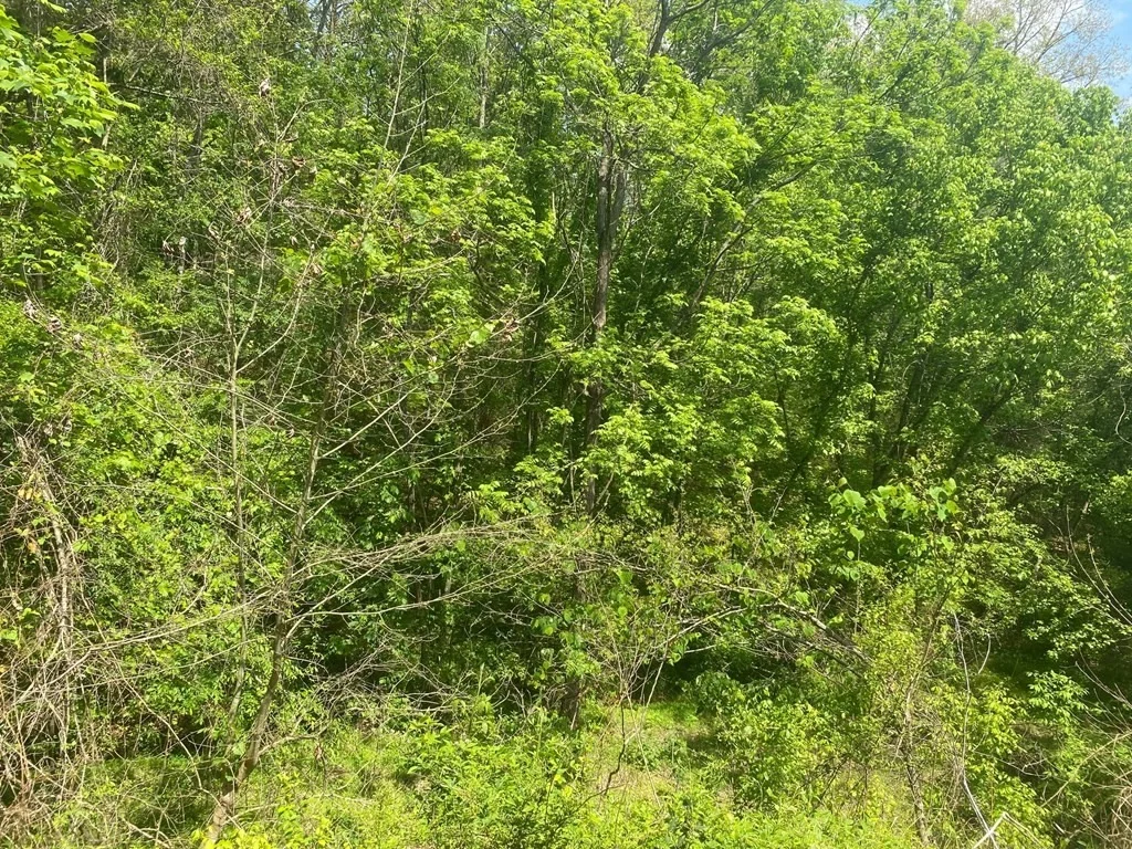 Photo of 0 Lot Tr 1 Sugar Loaf Road