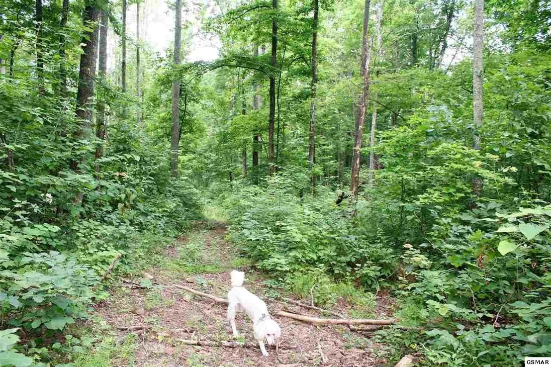 Photo of 0 Off Collier Loop