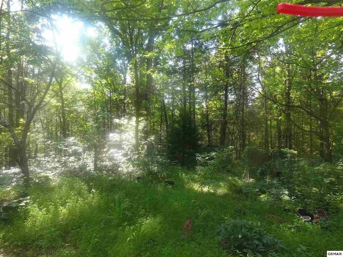 Photo of 3695 Shady Springs Way