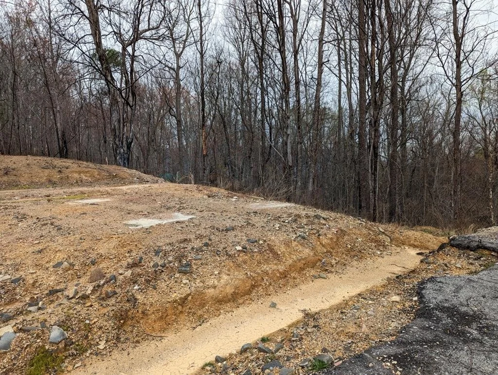 Photo of 3361 SUGAR MAPLE LOOP Road