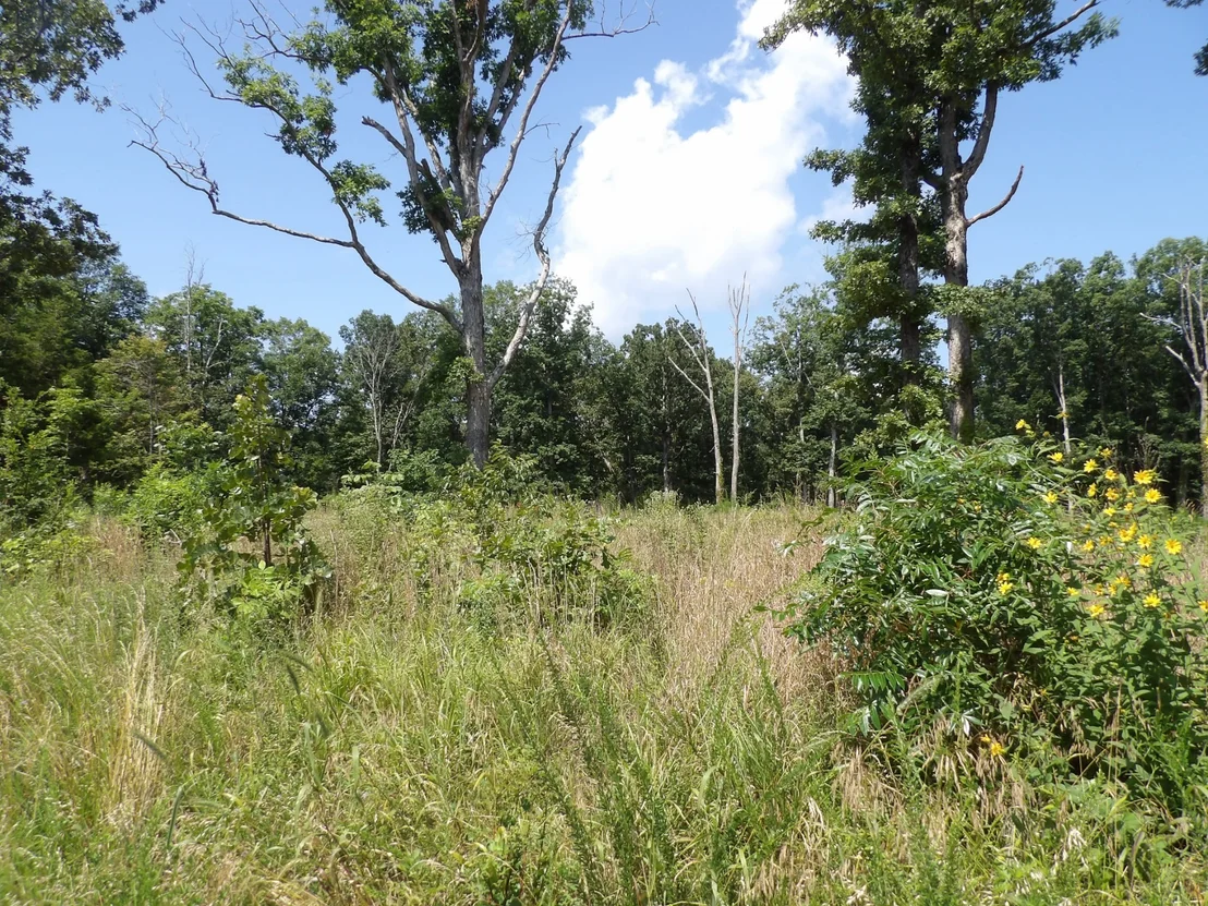 Photo of 755 Old Highway 13