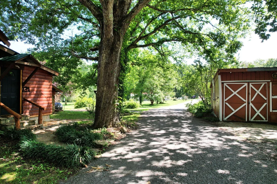 Photo of 47 Stephens Road