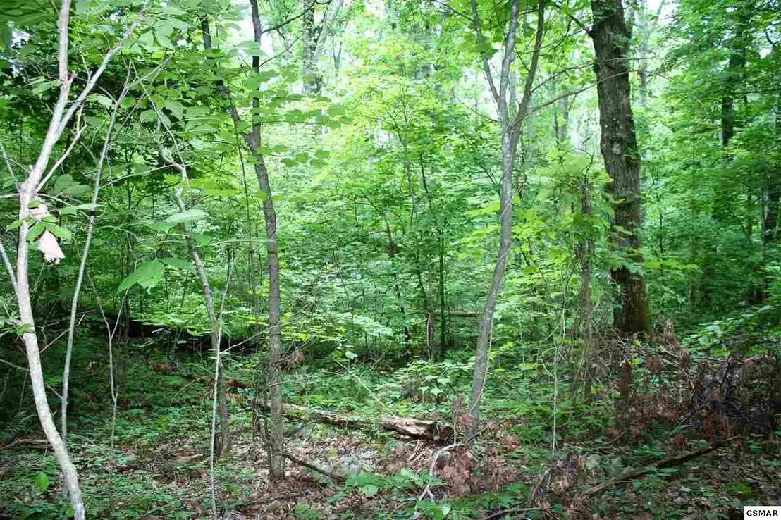 Photo of 0 Off Collier Loop