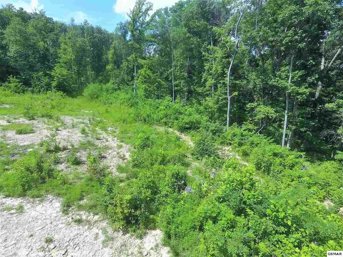 Photo of 0 Off Collier Loop