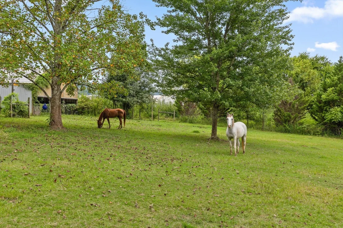 Photo of 243 Lovinggood Road