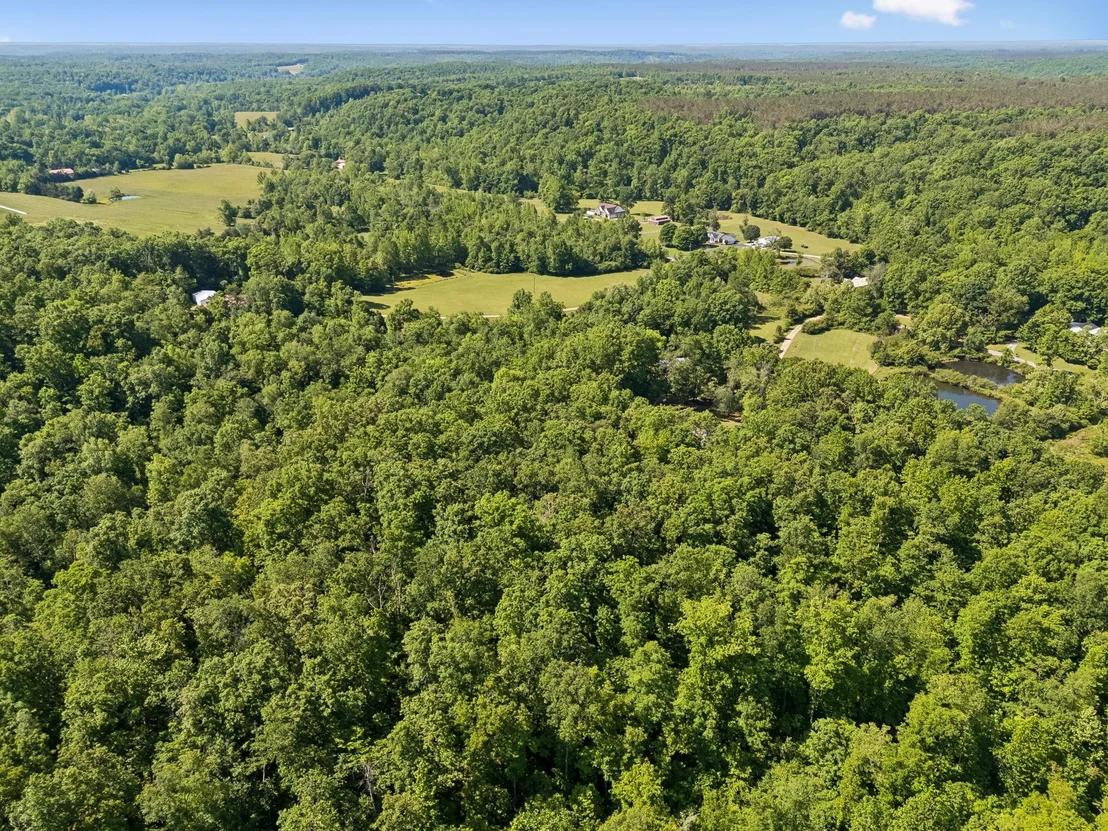 Photo of 619 Longbranch Rd