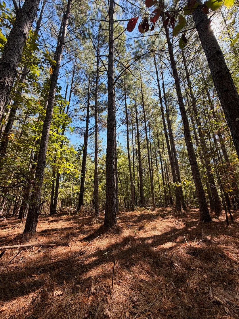 Photo of 0 Coy Hill Rd