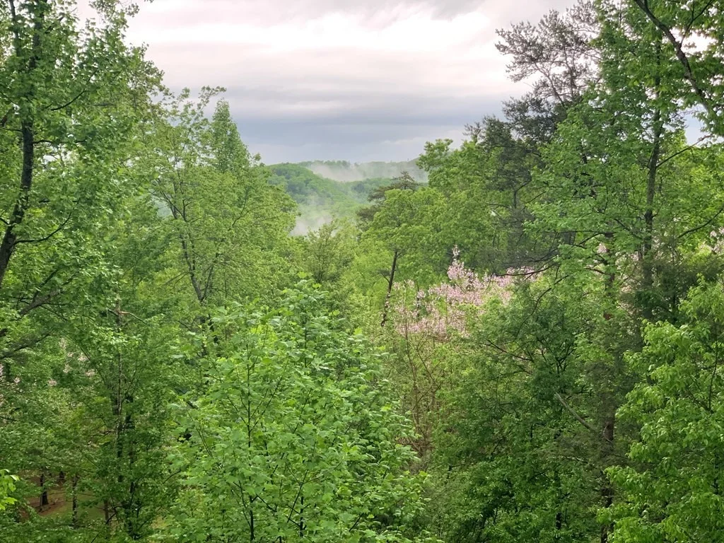 Photo of 0 Cloud View Drive