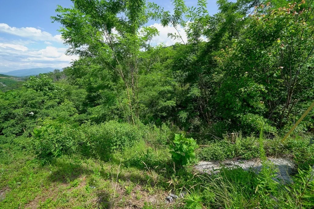 Photo of 714 Pinecrest Drive