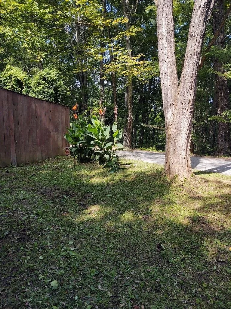 Photo of 2352 jims Way