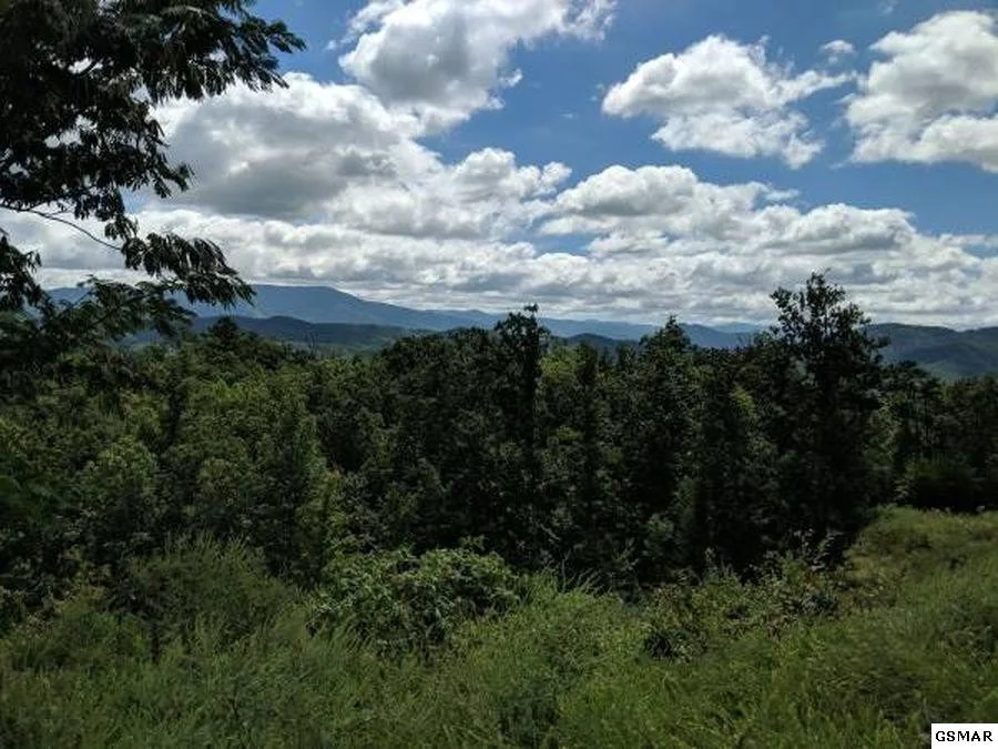 Photo of 3240 Laurel Cove Trail