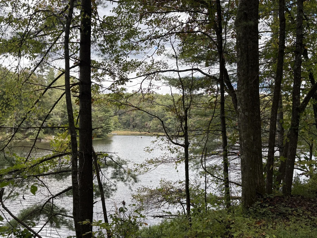 Photo of 0 Bear Den Trail