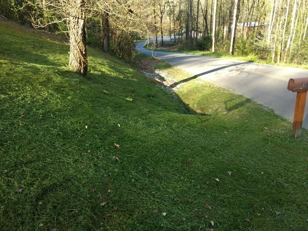 Photo of 1520 Alpine Drive