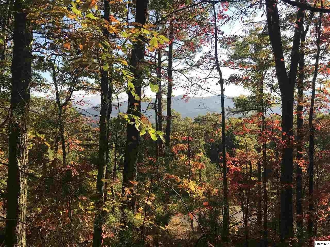 Photo of 132 Settlers View Lane