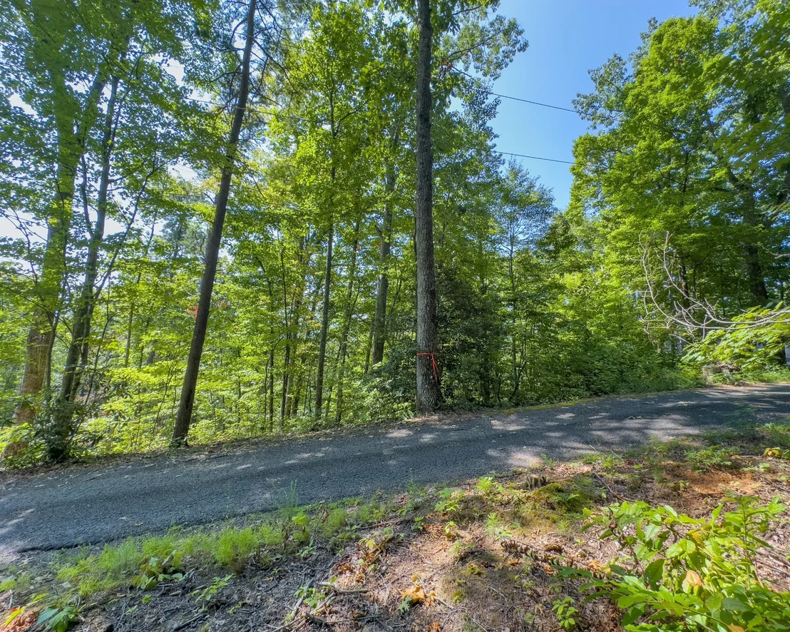 Photo of 11 Spring Hill Drive