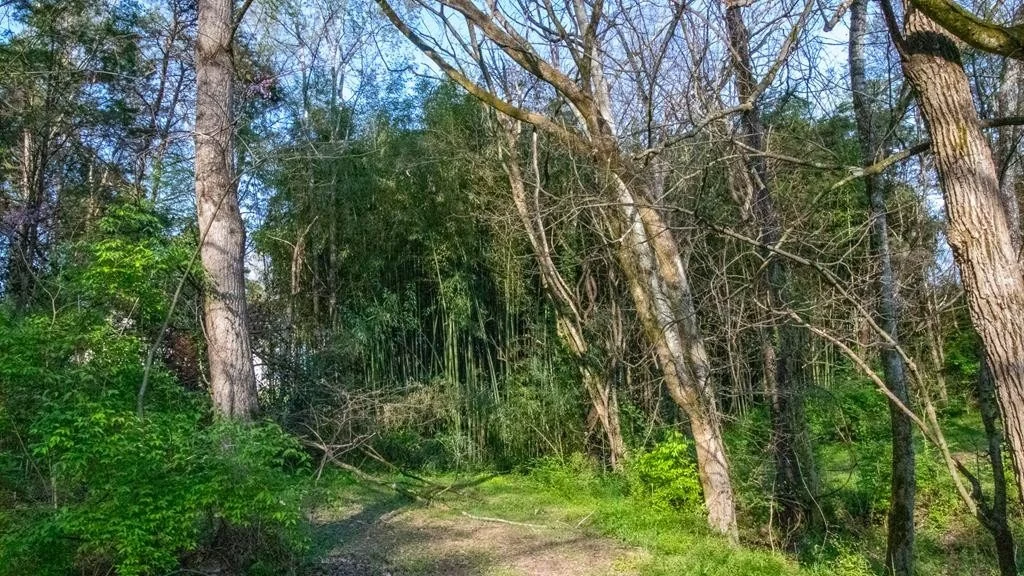 Photo of 2061 Ranch Road