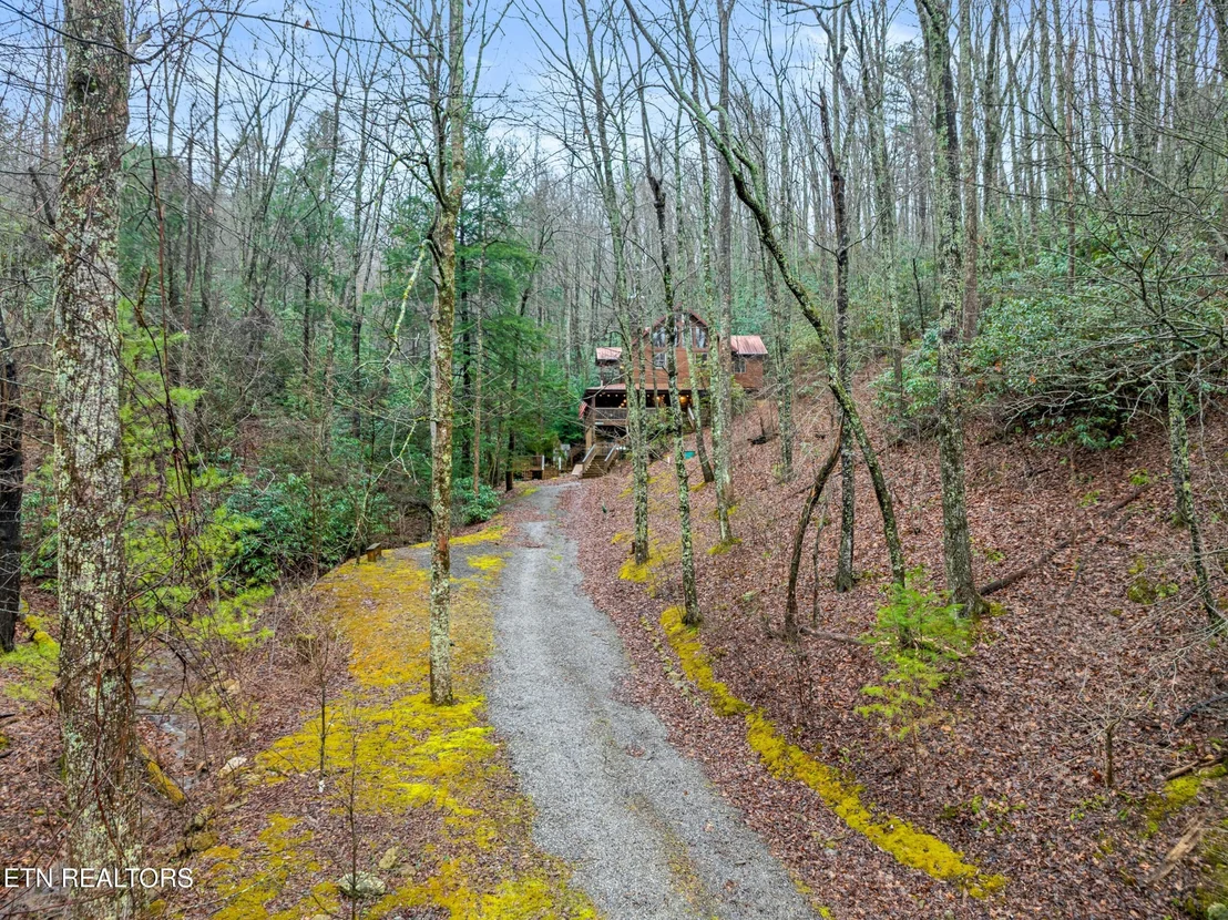 Photo of 3824 Bear Camp Way