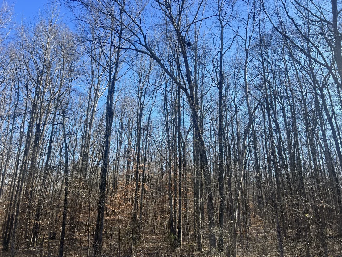 Photo of 0 Excalibur Trail