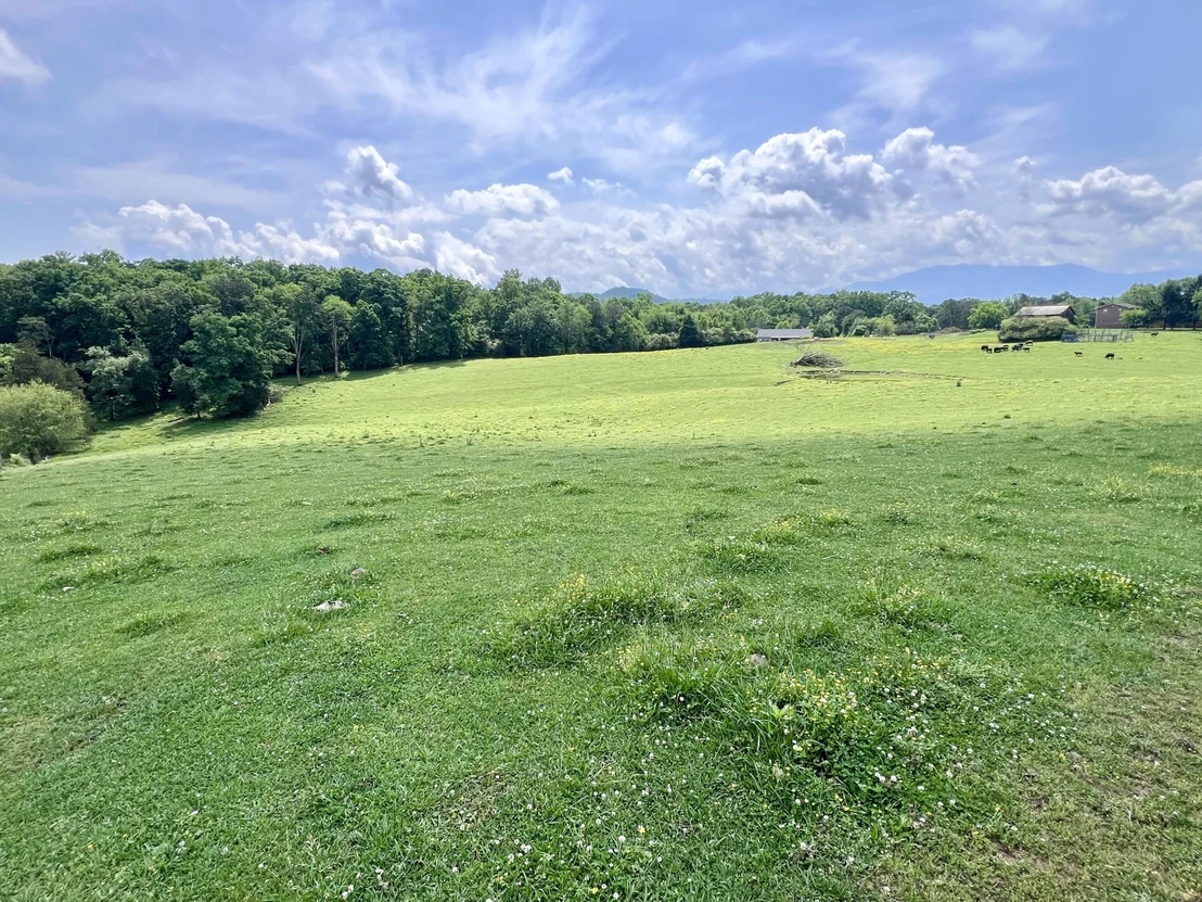 Photo of 1689 Ridge Road