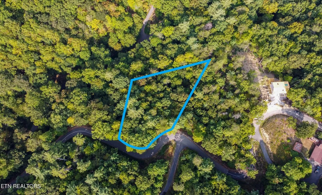 Photo of 20 Sugar Maple Loop