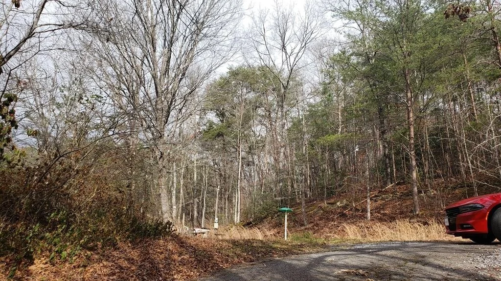 Photo of 2905 Caughron Mountain Road