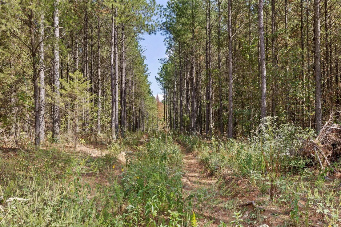 Photo of 5370 River Bend Road