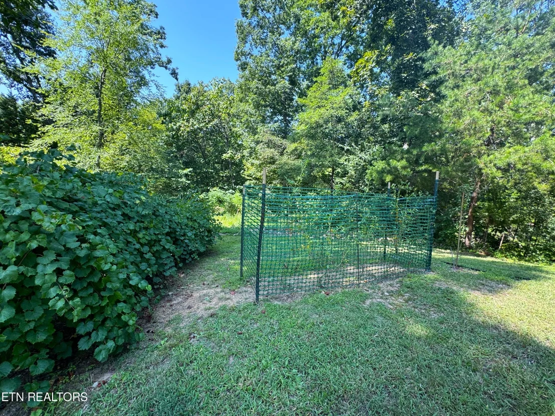 Photo of 164 Buzzard Roost Rd