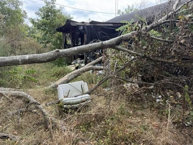 Photo of 305 WALNUT ST