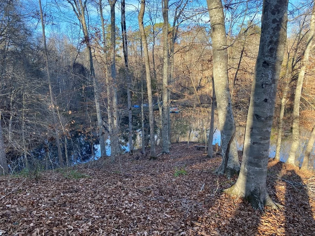 Photo of 3934 Doan Drive