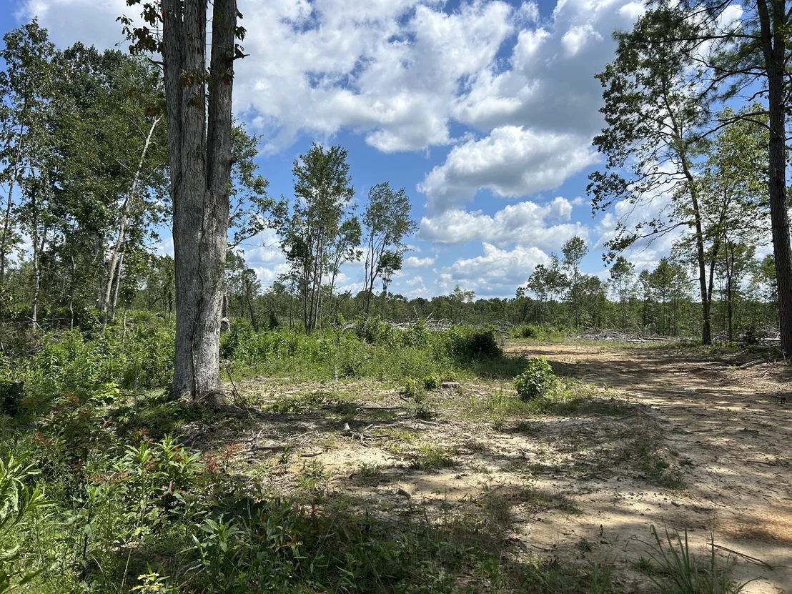 Photo of 0 Wynn Rd