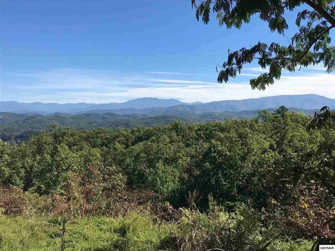 Photo of 3240 Laurel Cove Trail