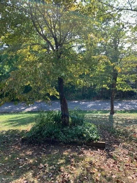 Photo of 242 Laurel Drive