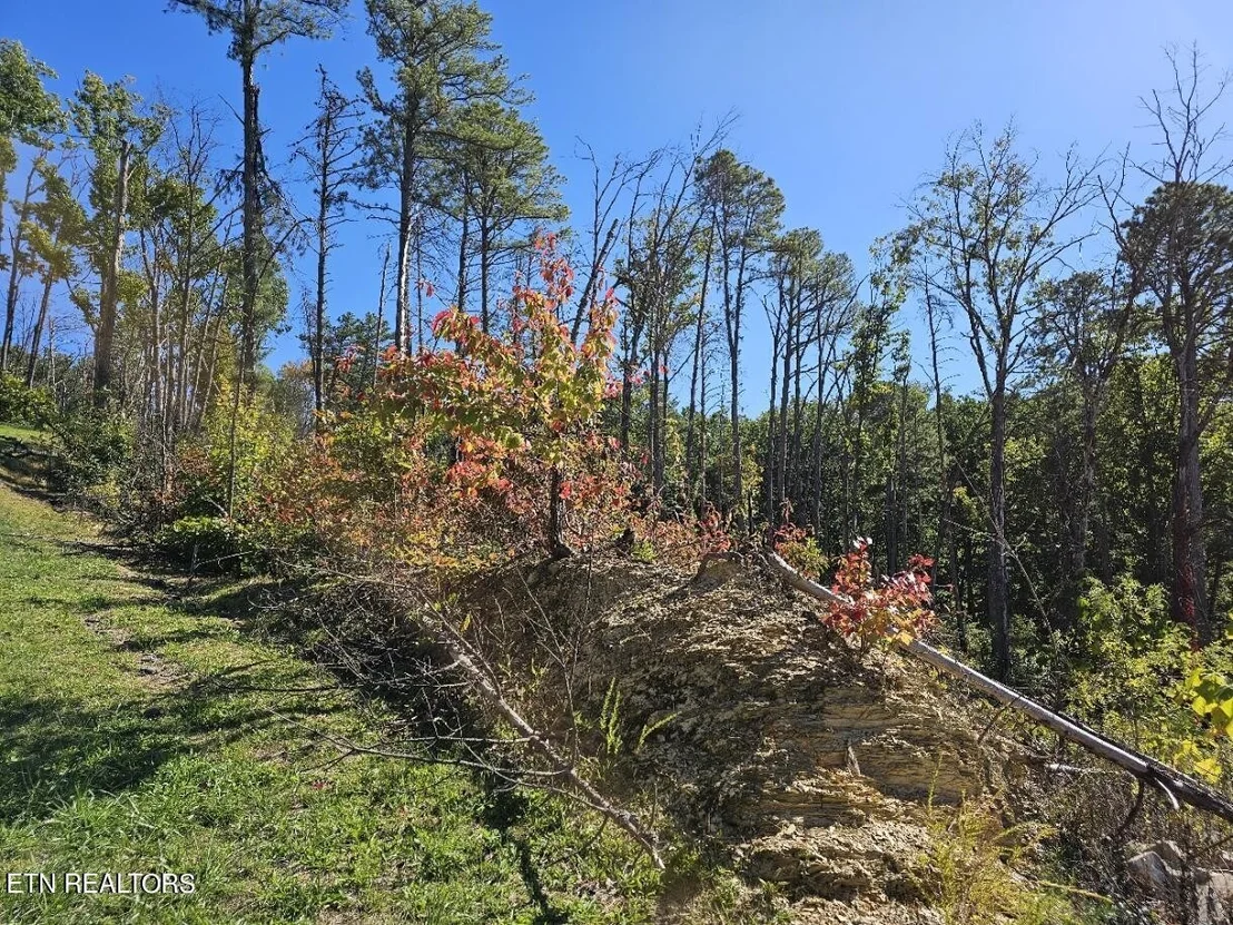 Photo of 2211 Ridgeland Circle