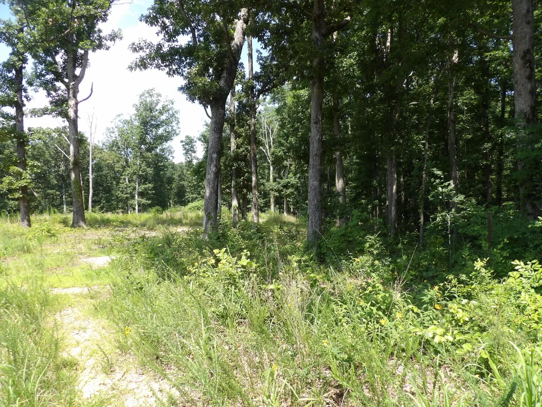 Photo of 755 Old Highway 13
