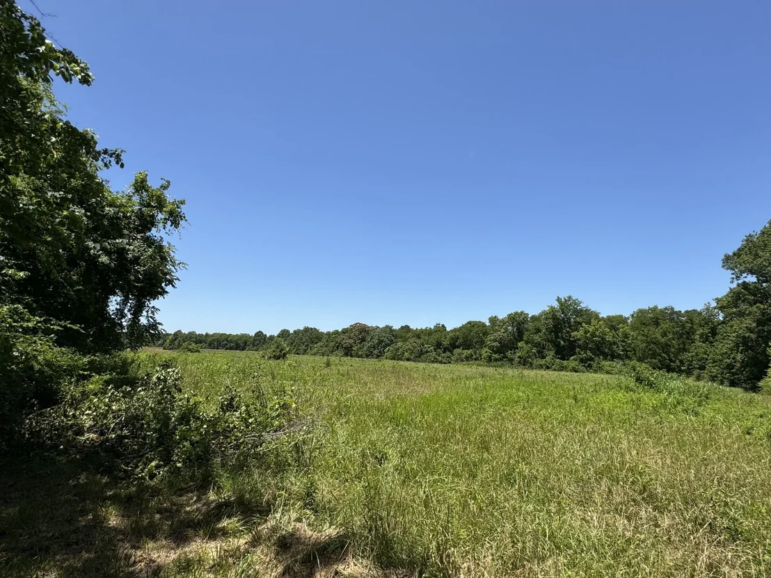 Photo of 2543 Highway 41 S