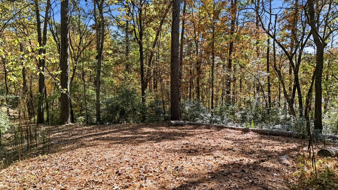 Photo of 4401 James Lane
