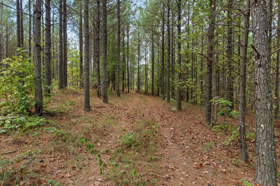 Photo of 5370 River Bend Road