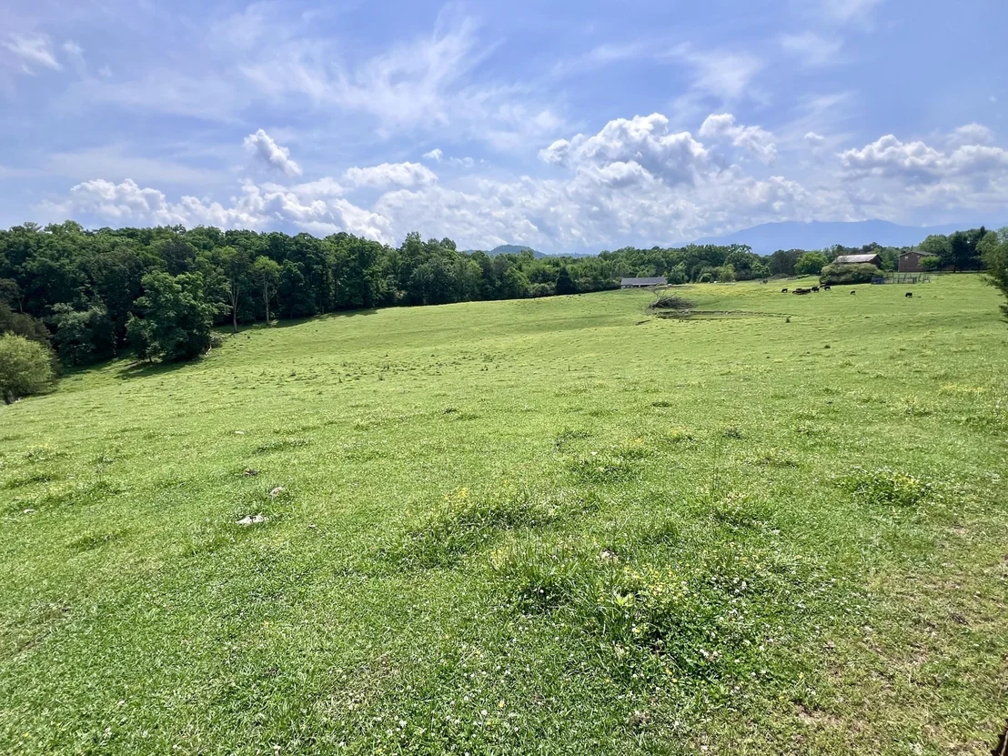 Photo of 1689 Ridge Road