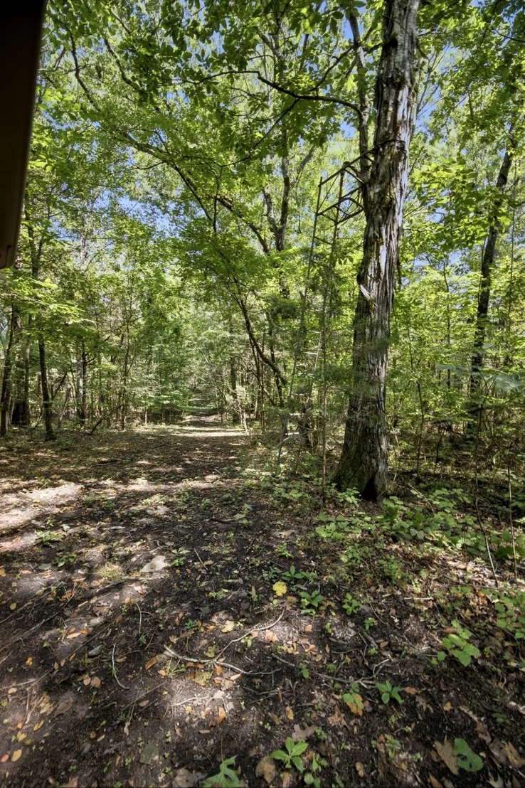 Photo of 965 Lofton Lane