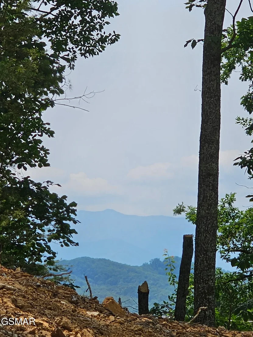 Photo of 124 Sharp Road
