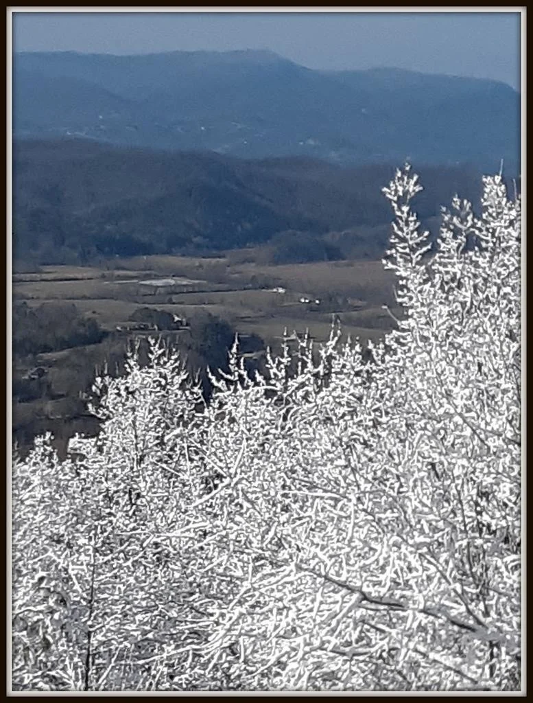 Photo of 3750 COVE MOUNTAIN Road
