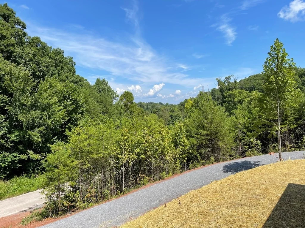 Photo of 1348 Bluets Road